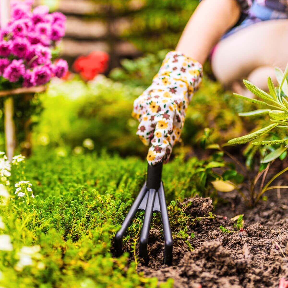 Person with floral gardening gloves raking through dirt in a garden bed.