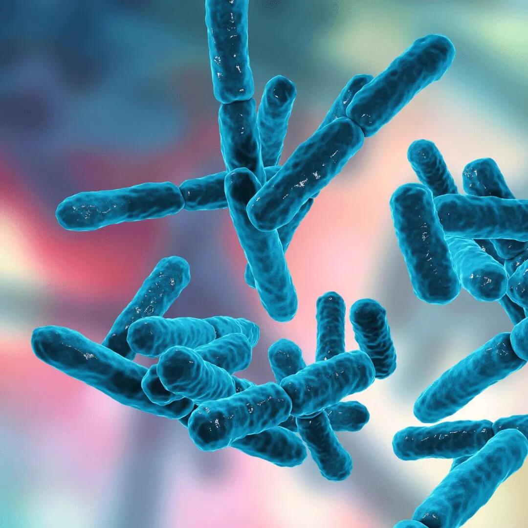 cells floating around in front of a blurred background