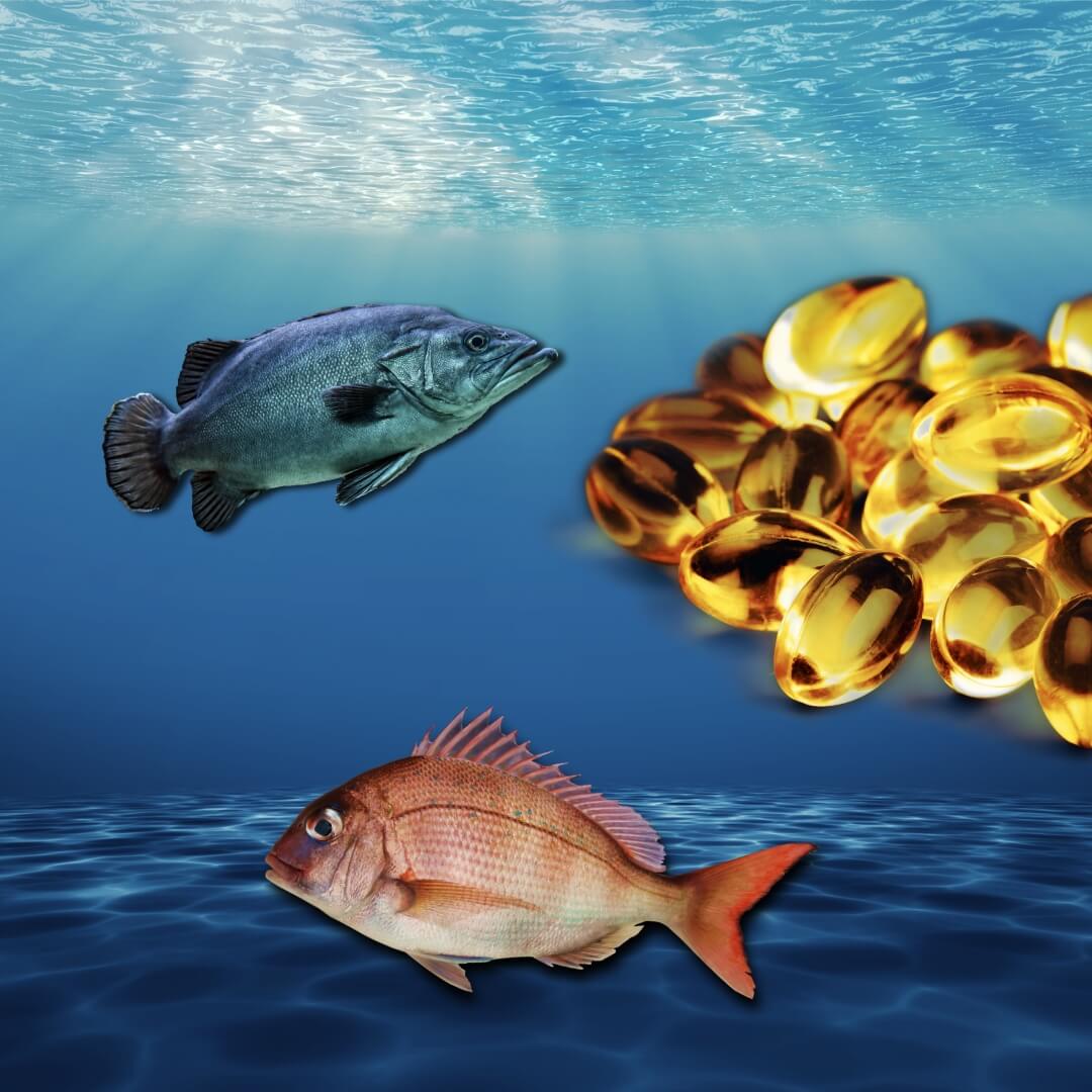 fish swimming under the ocean floor with fish oil supplements